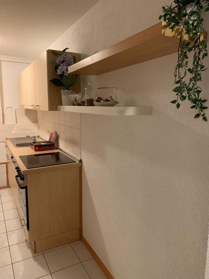 Holiday Home Nahe Europapark 拉尔 外观 照片